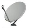 dish disposal services